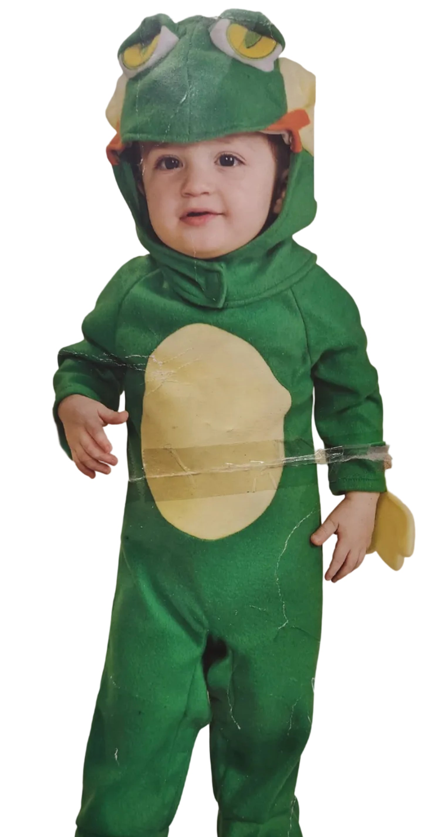 Freddy The Frog