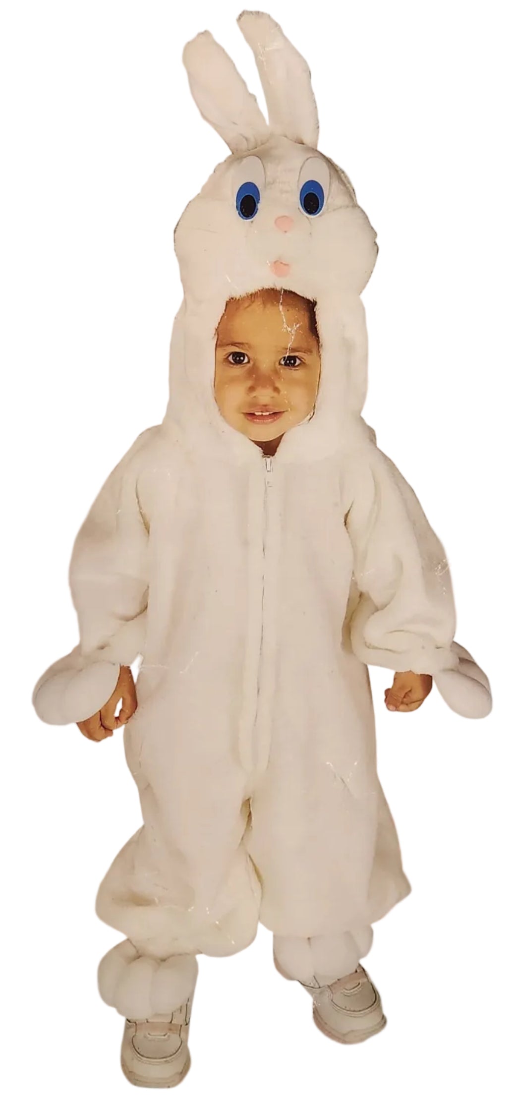 Lapin Lapin