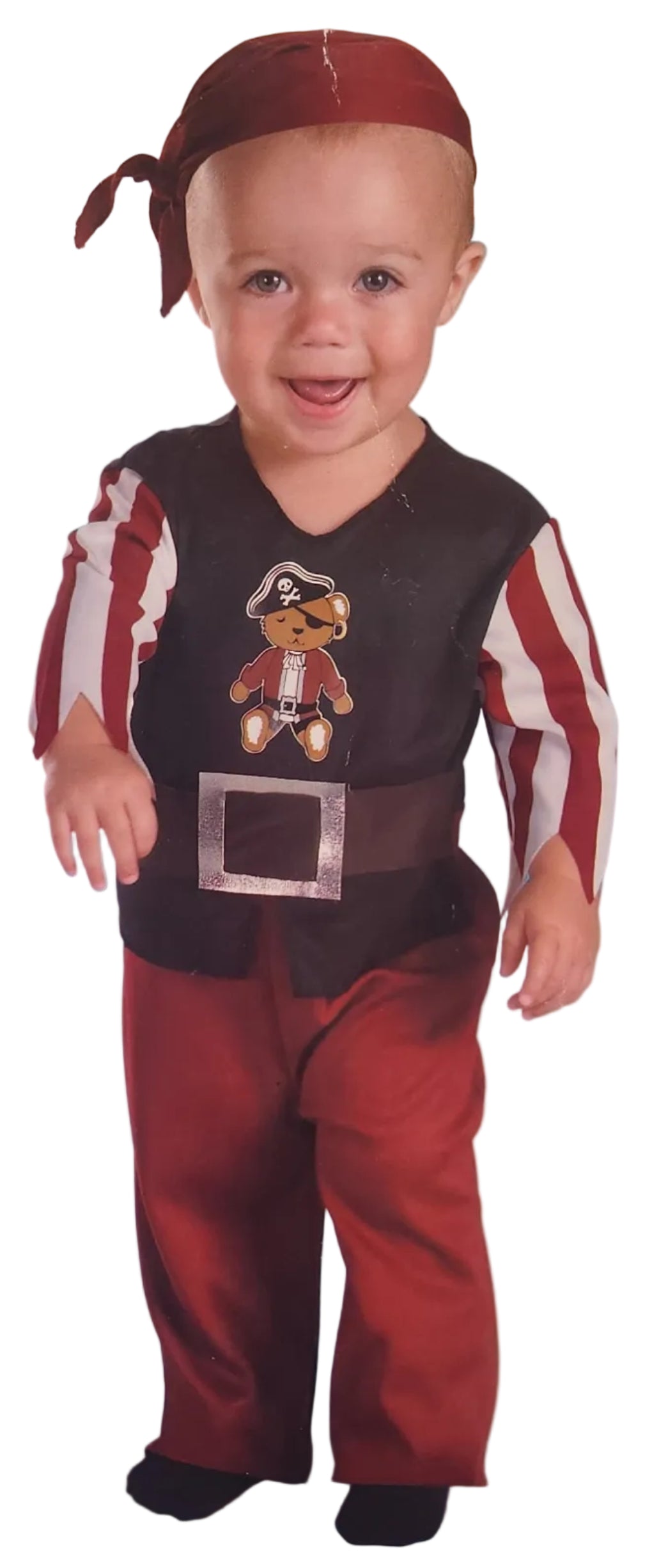 Beary Cute Pirate - Tiny Treats