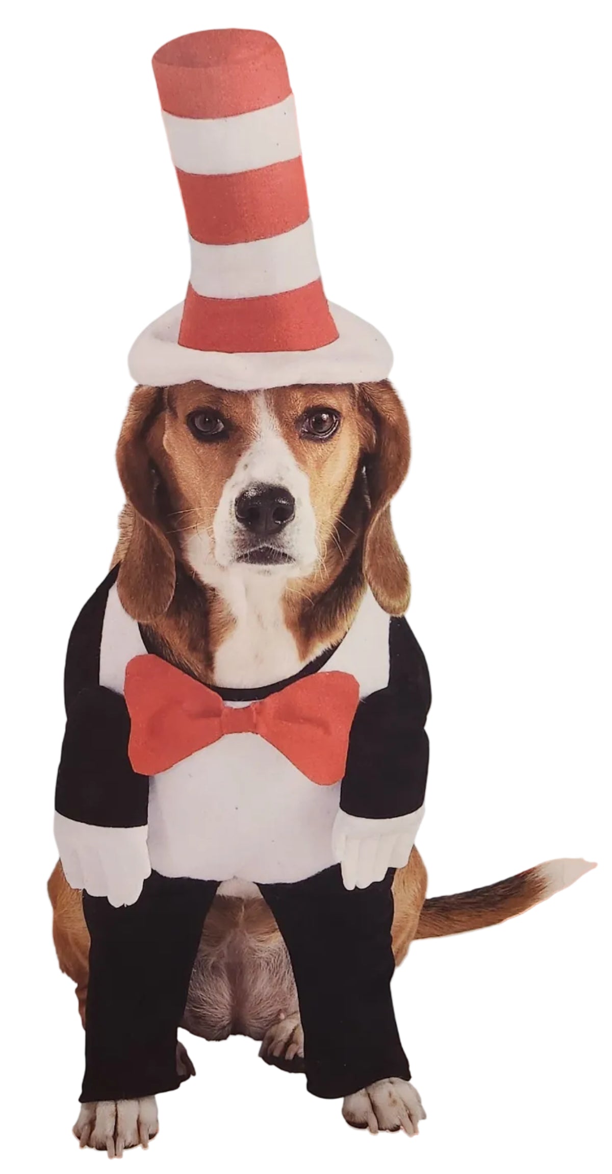 Cat In The Hat Dog Costume - The Cat In The Hat