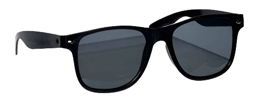 Wayfarer Sunglasses