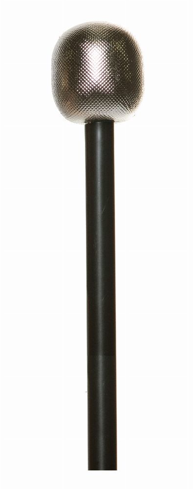 Popstar Microphone