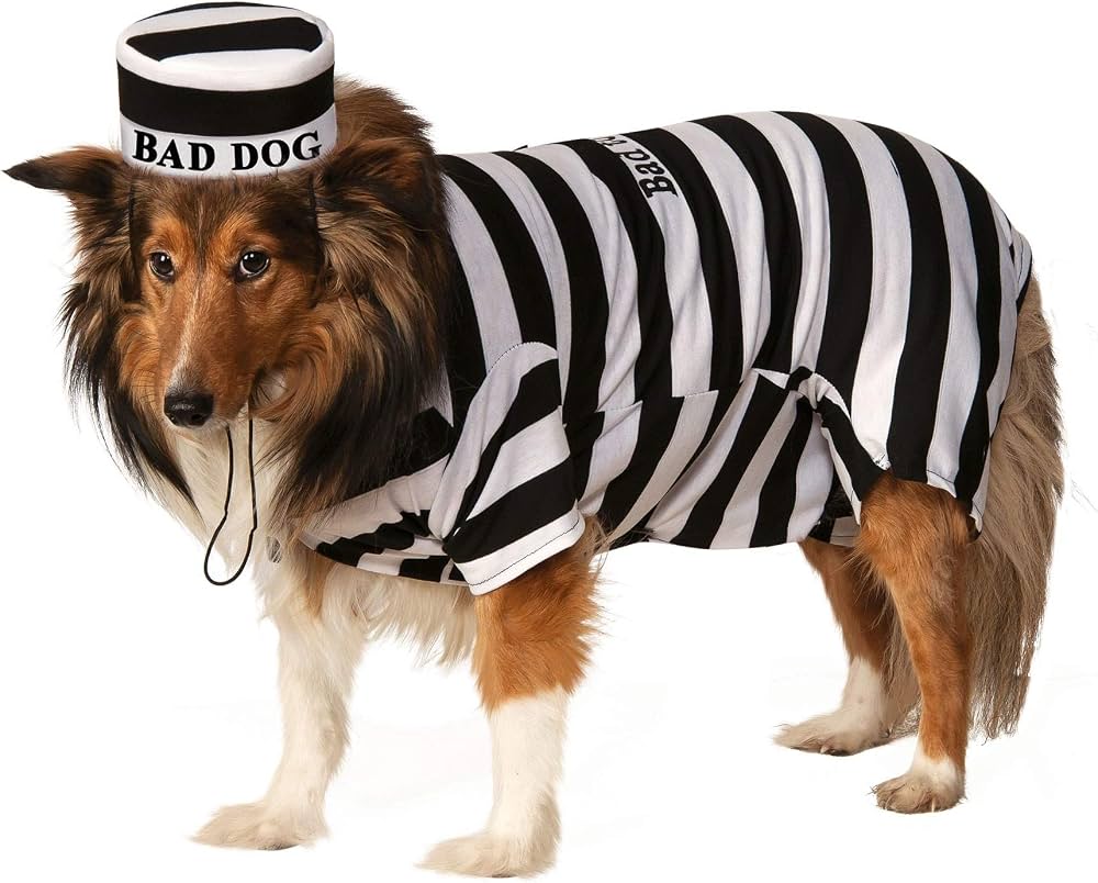 Prisoner - Dog Costume