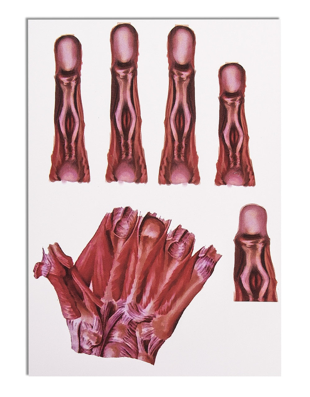 Tatouage de mains de zombie