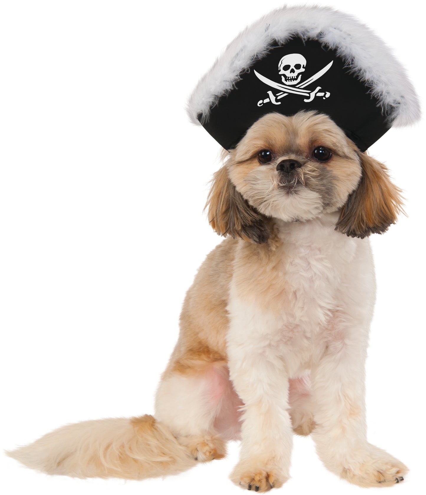 Chapeaux de pirate pour animaux de compagnie - Pet Shop