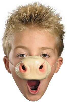 Cow Nose Nose'n Around