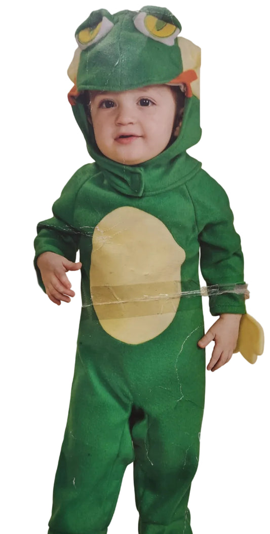 Freddy The Frog
