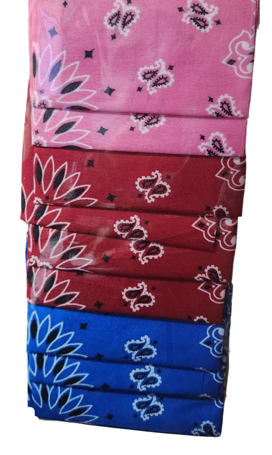 Lot de 10 bandanas western - Cowboy