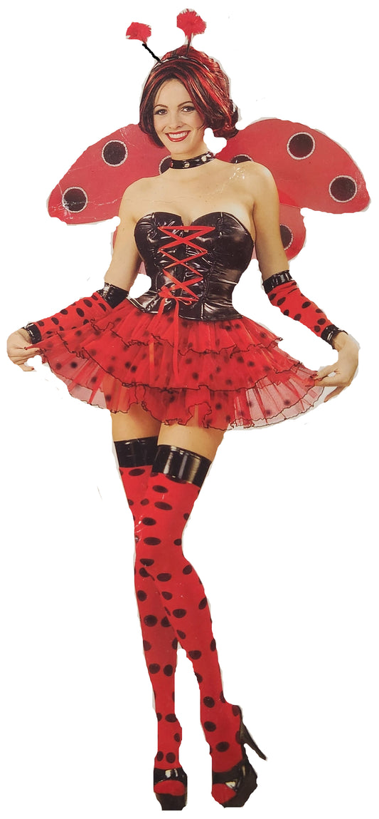 Lucious Lady Bug