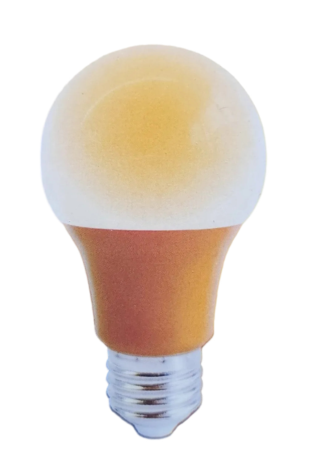 LED Light Bulb Assorted
