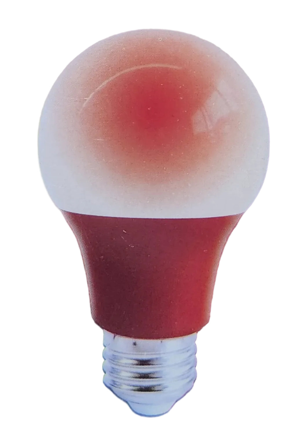 LED Light Bulb Assorted