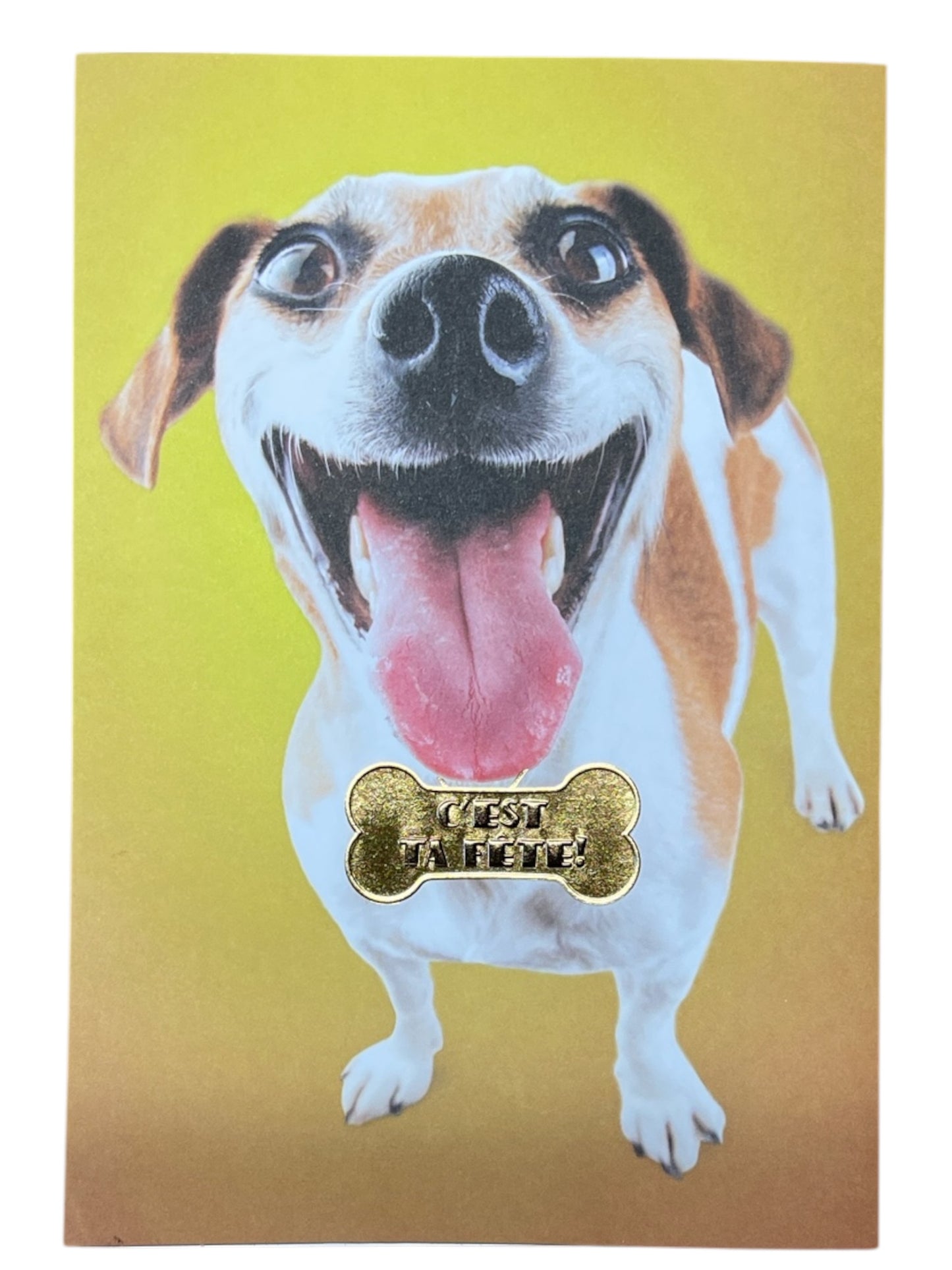 Carte De Souhait - C'est Ta Fête Portrait De Chien