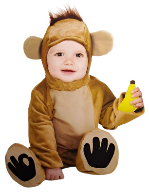 L'arche de Noé du singe