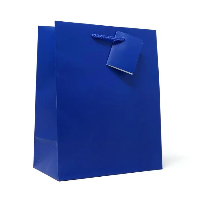 Large Solid Primary Gift Bag