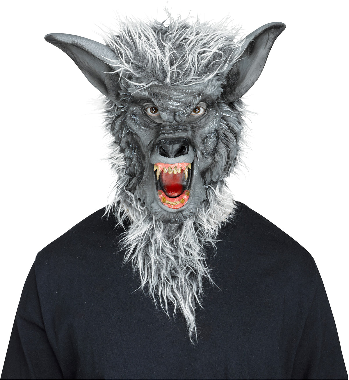 Ferocious Fangs Mask Assorted