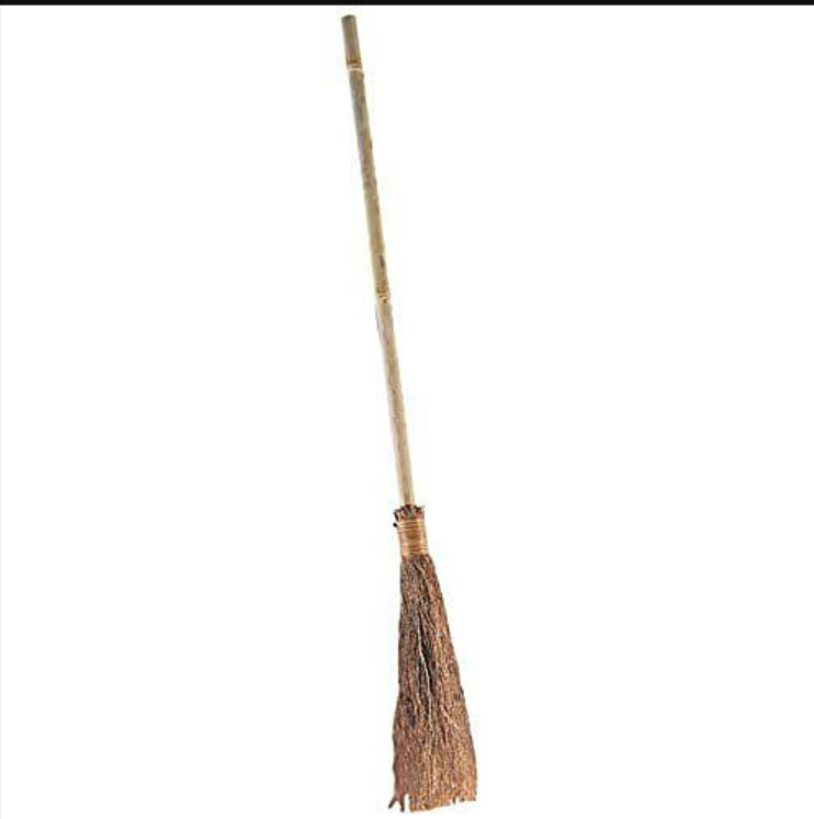 Witch Broom - Adult
