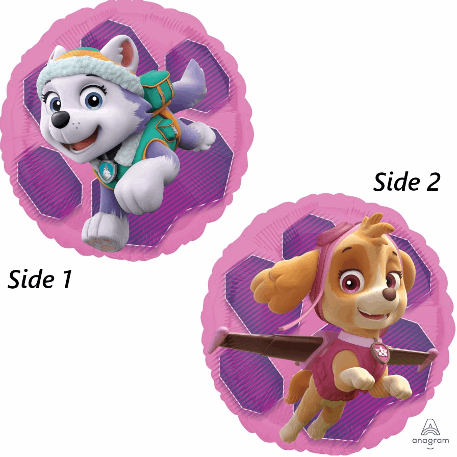 M.18''Paw Patrol Skye & Everest