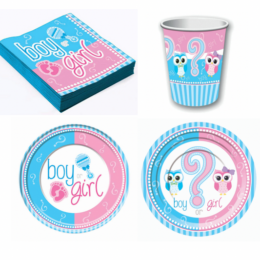 Gender Reveal Party Lot 1
