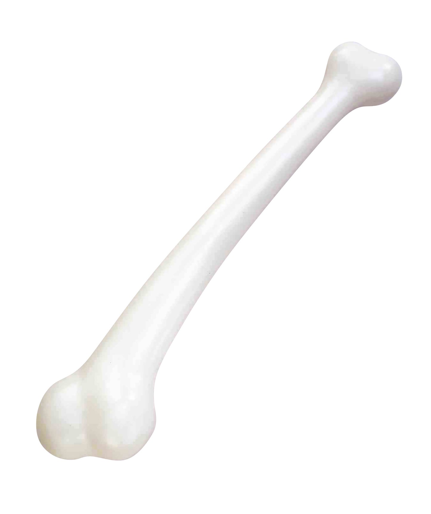 Jumbo Bone Polybag With Header